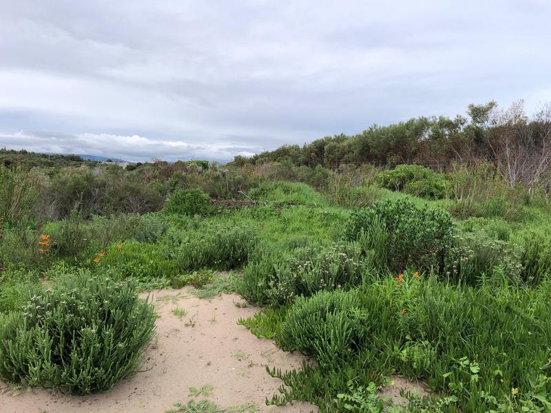 0 Bedroom Property for Sale in Franskraal Western Cape